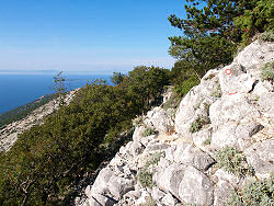 Blick von der Straße von Mali Losinj nach Nerezine - links der Osorscica