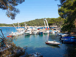 Wanderweg zwischen Veli Losinj und Mali Losinj zum Strand / Bucht Valdarke in Mali Losinj - Kroatien