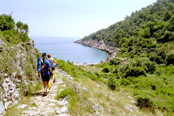 Strand in der Bucht Javorna in Veli Losinj - Uvala Javorna